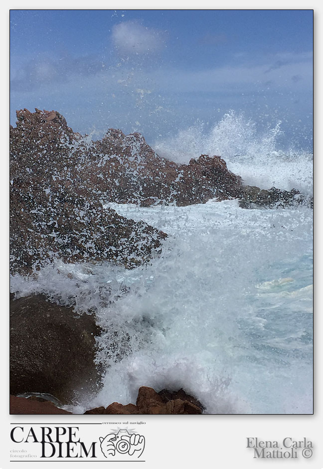 ACQUA NELL ACQUA.jpg